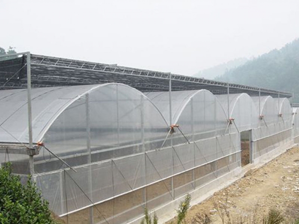 连栋温室 (6)