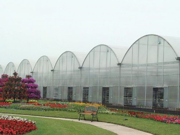 连栋温室 (5)