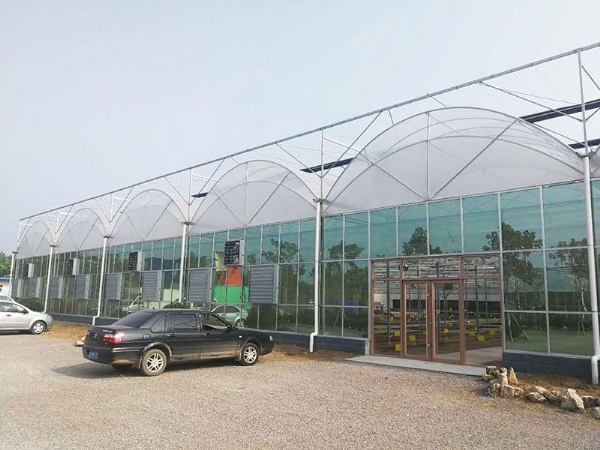 连栋温室 (1)