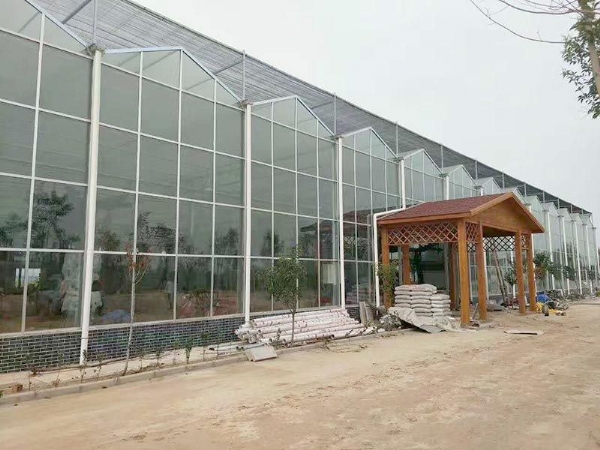 江西省赣州赣县江口镇，全玻璃温室
