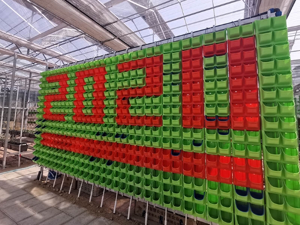 墙体水培 水培墙