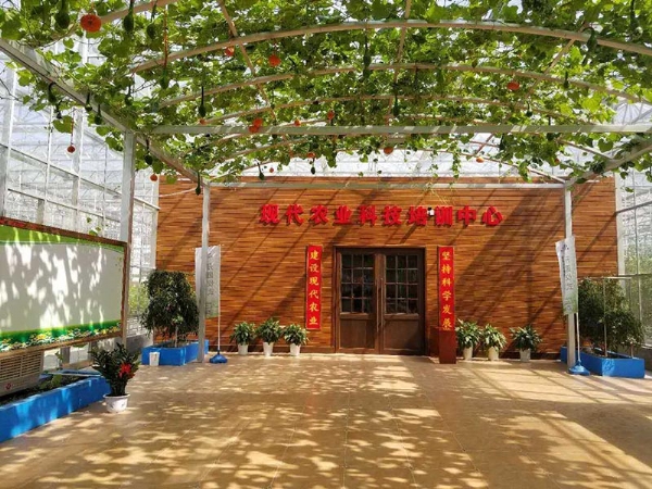 生态餐厅