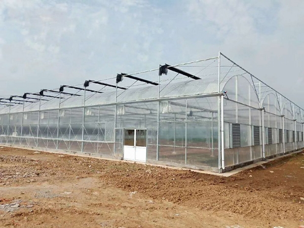 连栋温室大棚