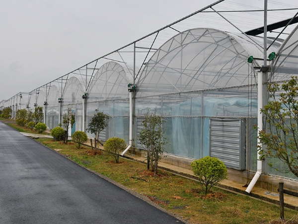 连栋温室大棚
