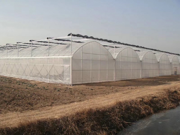 连栋温室大棚