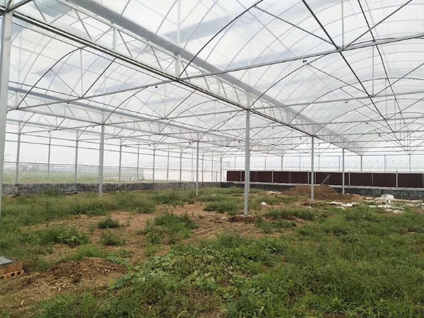 连栋温室骨架